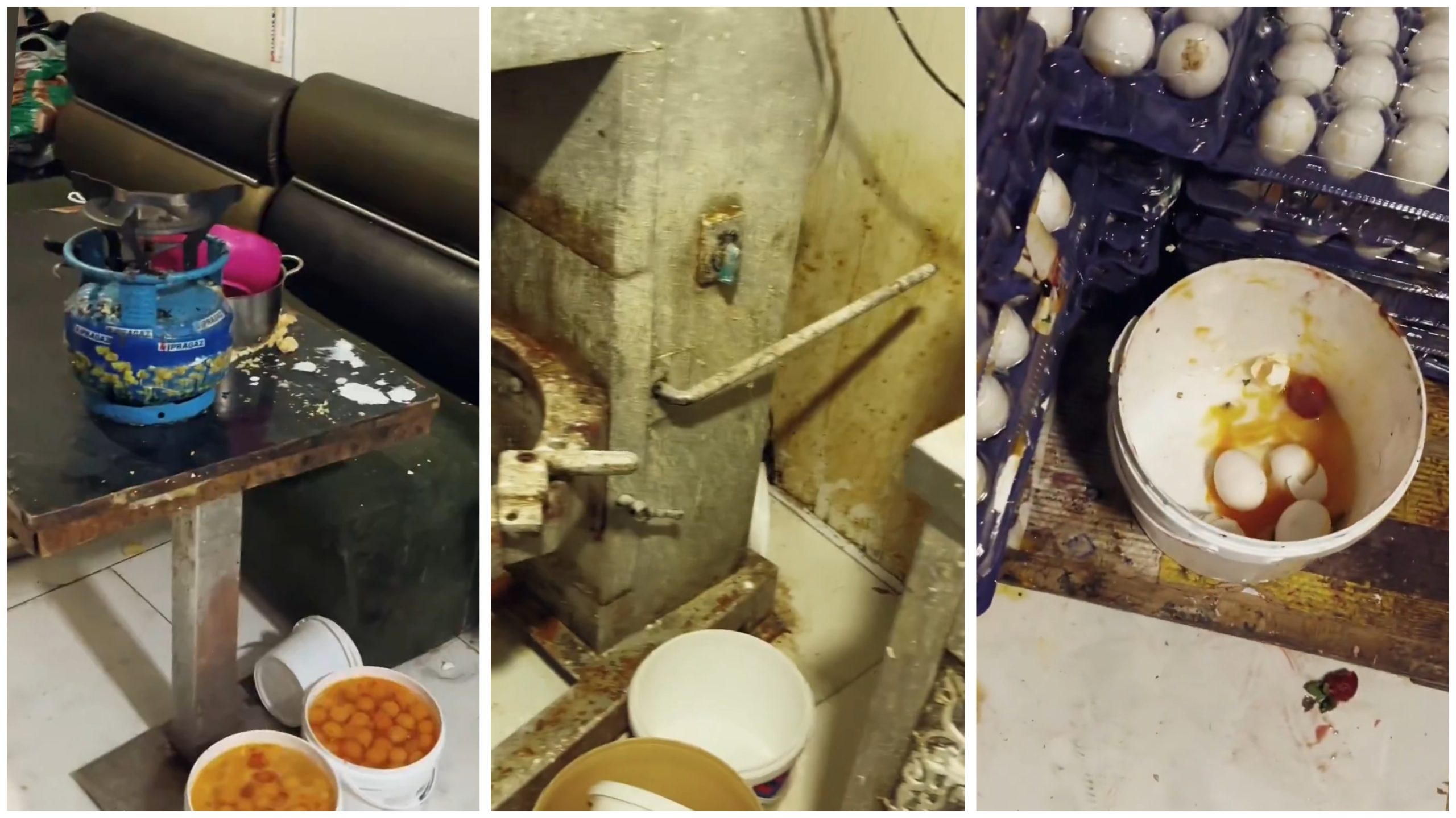 ŞANLIURFA’DA PASTA İMALATHANESİNDE GECE DENETİMİ: GÖRÜNTÜLER MİDE BULANDIRDI