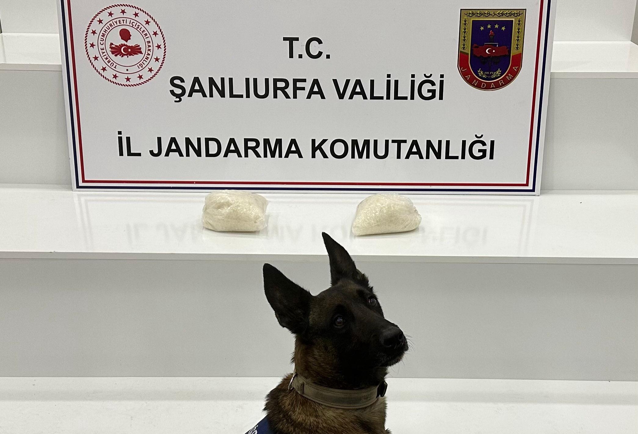 VİRANŞEHİR’DE 2 KİLO SENTETİK UYUŞTURUCU ELE GEÇİRİLDİ