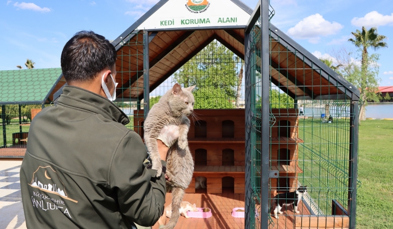 ŞANLIURFA’DA SOKAK KEDİLERİNE ÖZEL YAŞAM ALANLARI: BÜYÜKŞEHİR’DEN ÖRNEK PROJE