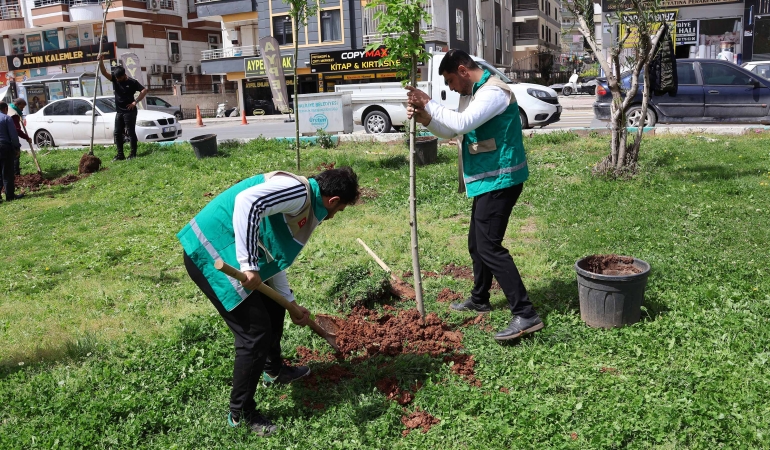 HALİLİYE’DE PARKLAR YAZA HAZIRLANIYOR: BAKIM ÇALIŞMALARI HIZ KESMİYOR