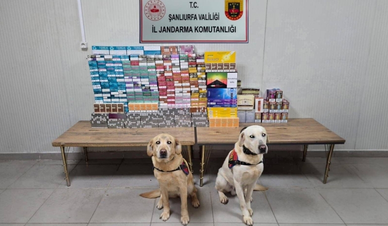 ŞANLIURFA’DA KAÇAK TÜTÜN VE ALKOL OPERASYONU: 27 ŞÜPHELİYE İŞLEM