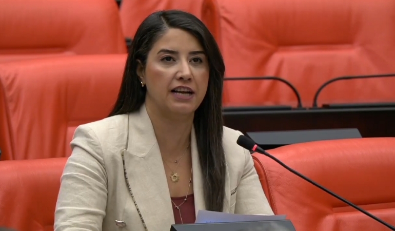 HUBUBAT ALIM FİYATLARINA DEM PARTİLİ AYAN’DAN TEPKİ: “ÇİFTÇİNİN EMEĞİ YOK SAYILIYOR”