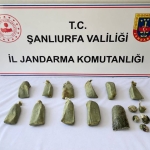 IMG-20261026-WA0007